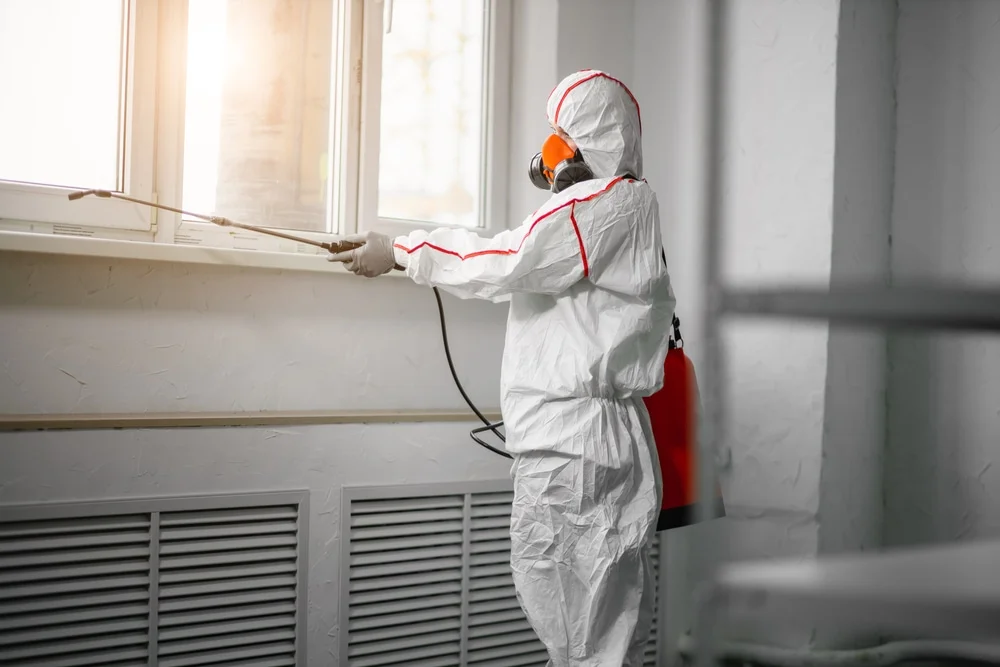 Professional mold remediation services in Brush, CO